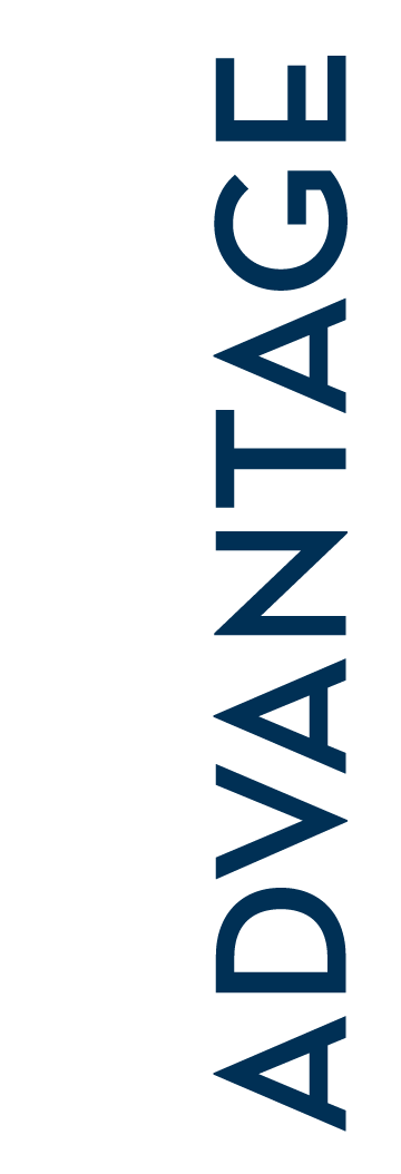 Mayfair Advantage Logo